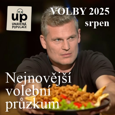Ikona Politika
