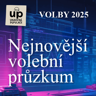 Ikona Politika